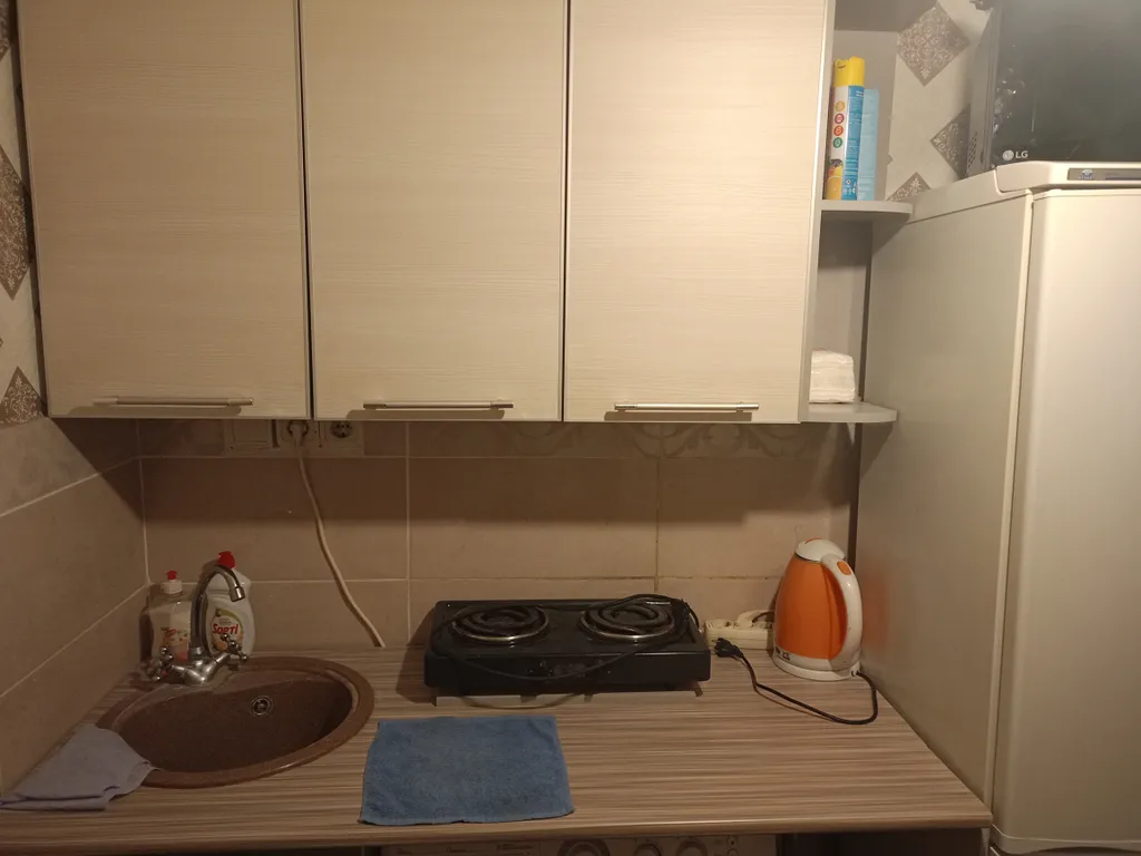 Уютная квартира в центре — аренда посуточно в Воронеж