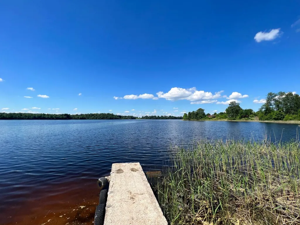 Коттедж Уютный дом с баней и видом на озеро Врево — Луга