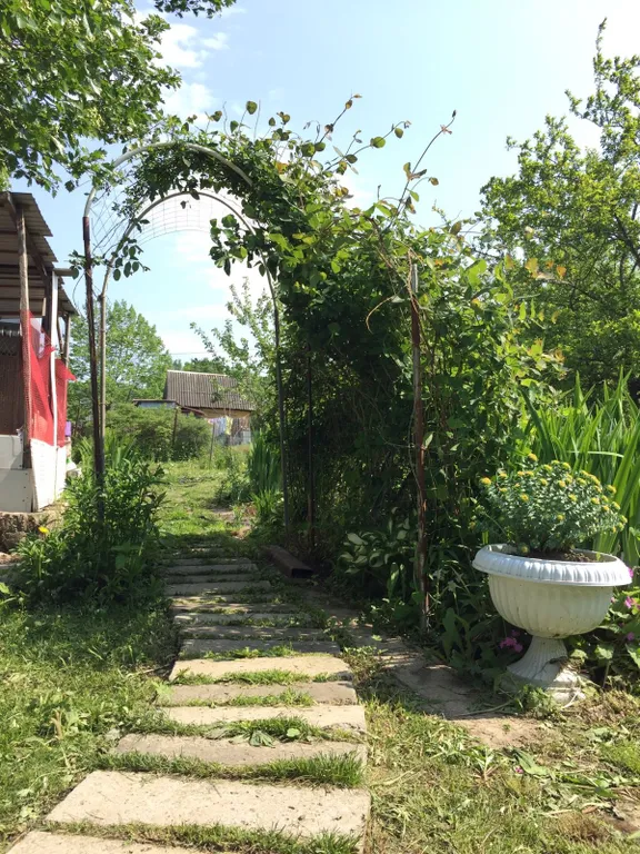 Дача бюджетная