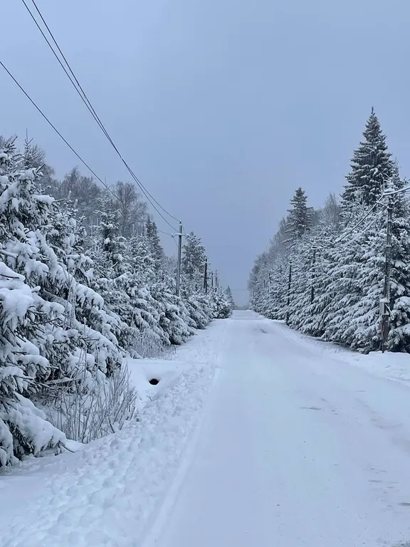 Лесное шале