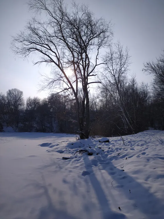 Дом с видом на Волгу