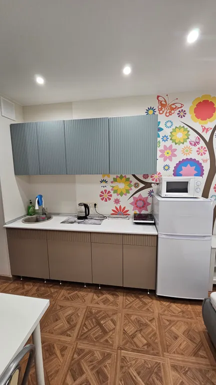 Квартира-студия ст. Павшино