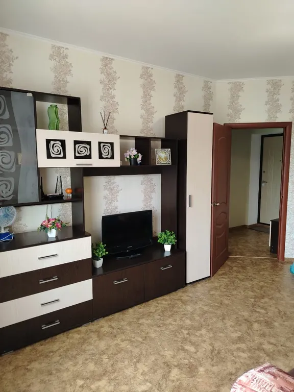 Квартира у телецентра