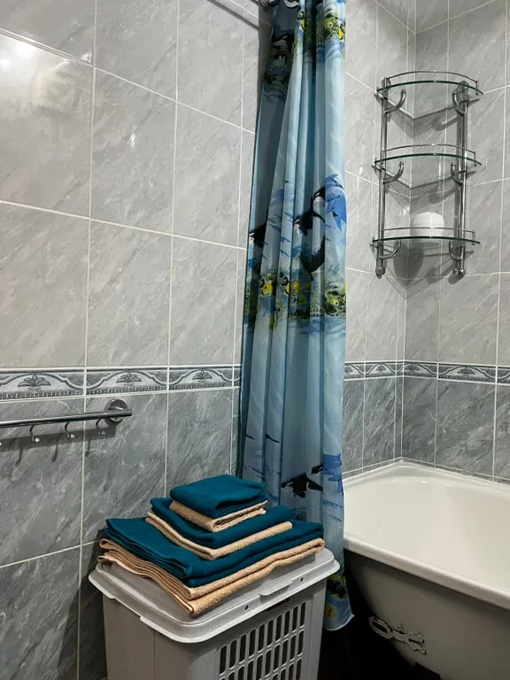 Уютная квартира в районе Белая Ромашка