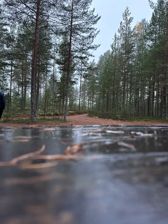 Коттедж Уютный современный дом в сосновом лесу у озера — Запорожское