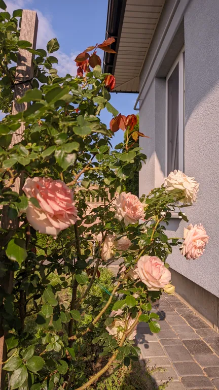 Уютный новый дом недалеко от центра