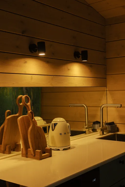 Дом в тихом заповедном лесу