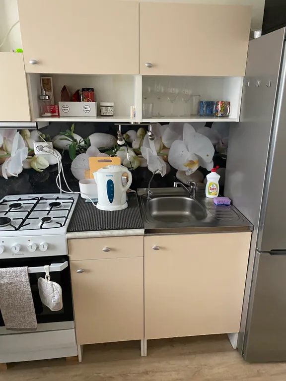 В лесной тиши