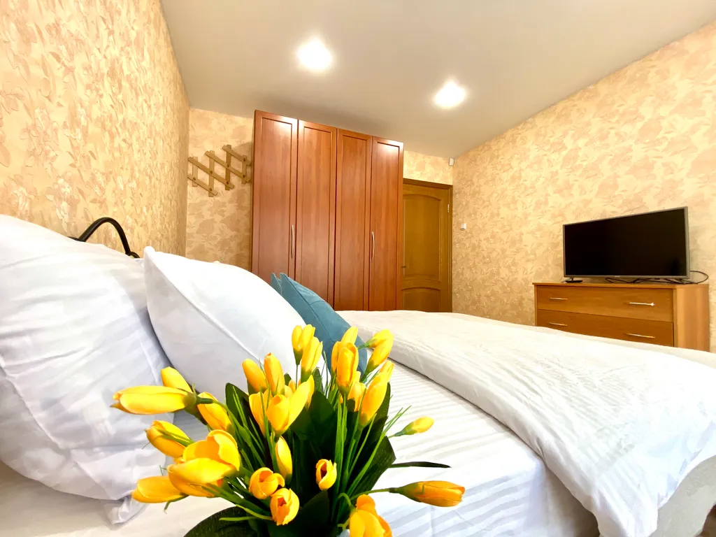 Уютная квартира с шикарным видом на вулканы, город и Мишенную сопку