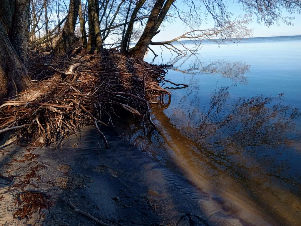 Квартира Под звук морской волны, атмосферная двушка для комфортного отдыха — Зеленоградск