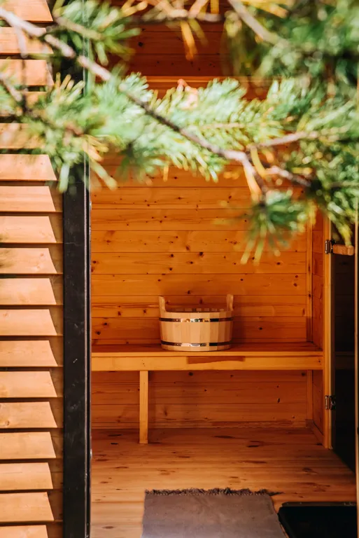 Домик в сосновом бору с баней, бассейном (летом) и беседкой