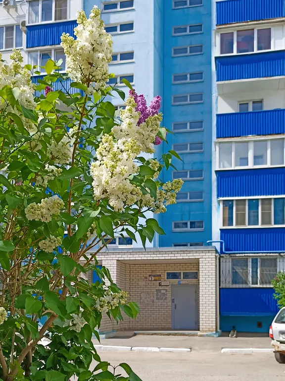 Комфорт и домашний уют