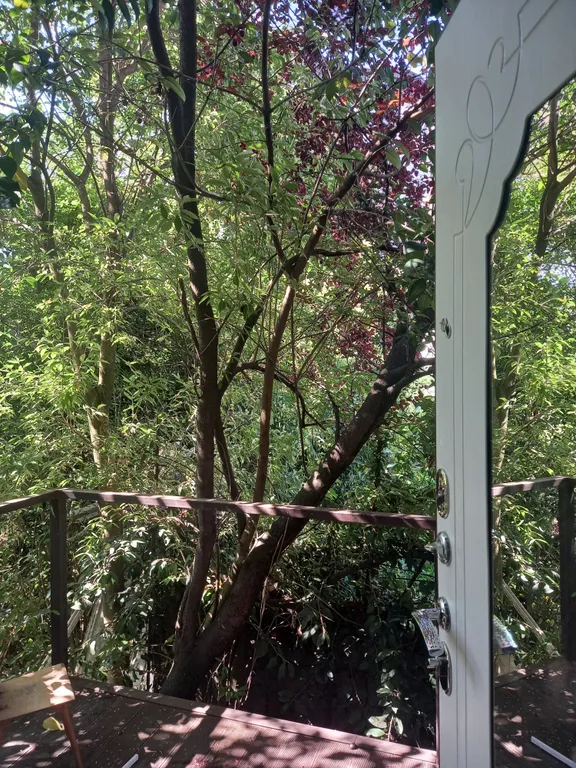 Квартира Апартаменты Terrazza рядом с вокзалом с террасой и свежим ремонтом — Сочи