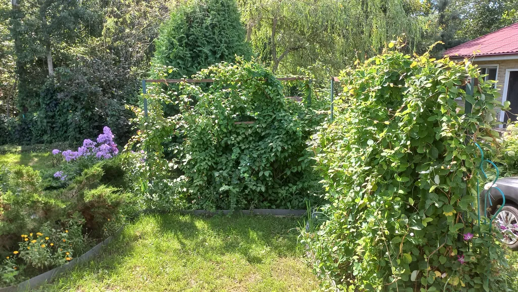 Дом в стиле барнхаус