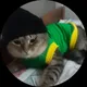 Антон