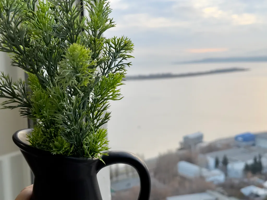 Уютная квартира возле Городского парка и набережной