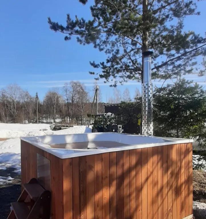 Загородный дом в лесу на Финском заливе