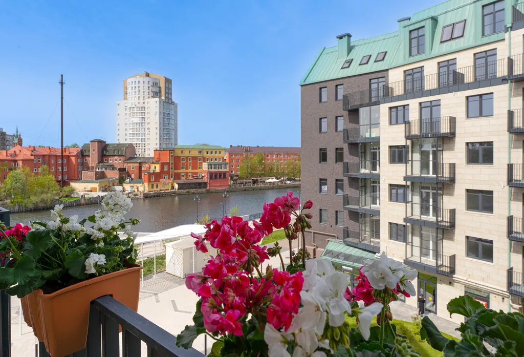 Квартира Апартаменты в сердце города с видом на реку — аренда посуточно в Калининград