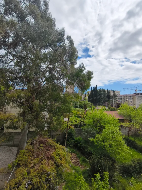 Квартира Твоя лучшая квартира — Гагра