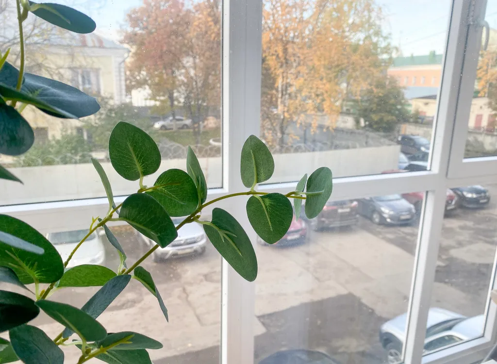 Квартира в центре Вологды