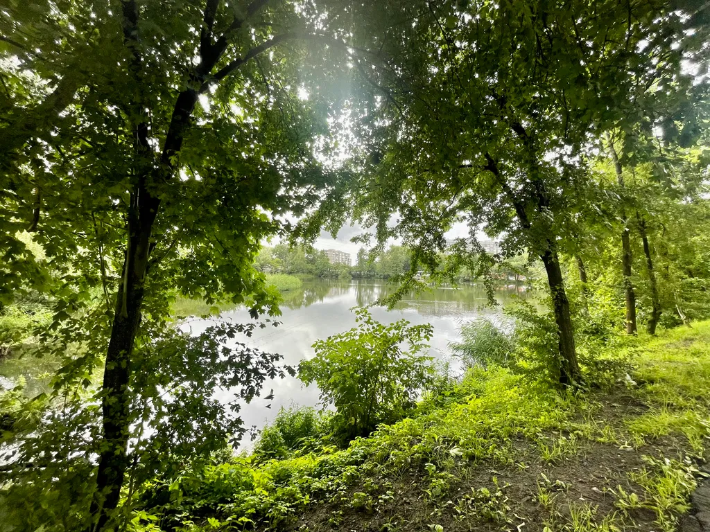 Квартира Апартаменты у озера — Калининград