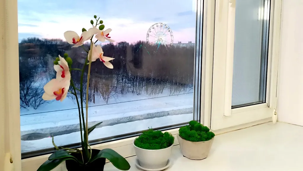 Уютная квартира с видом на Семёновское озеро