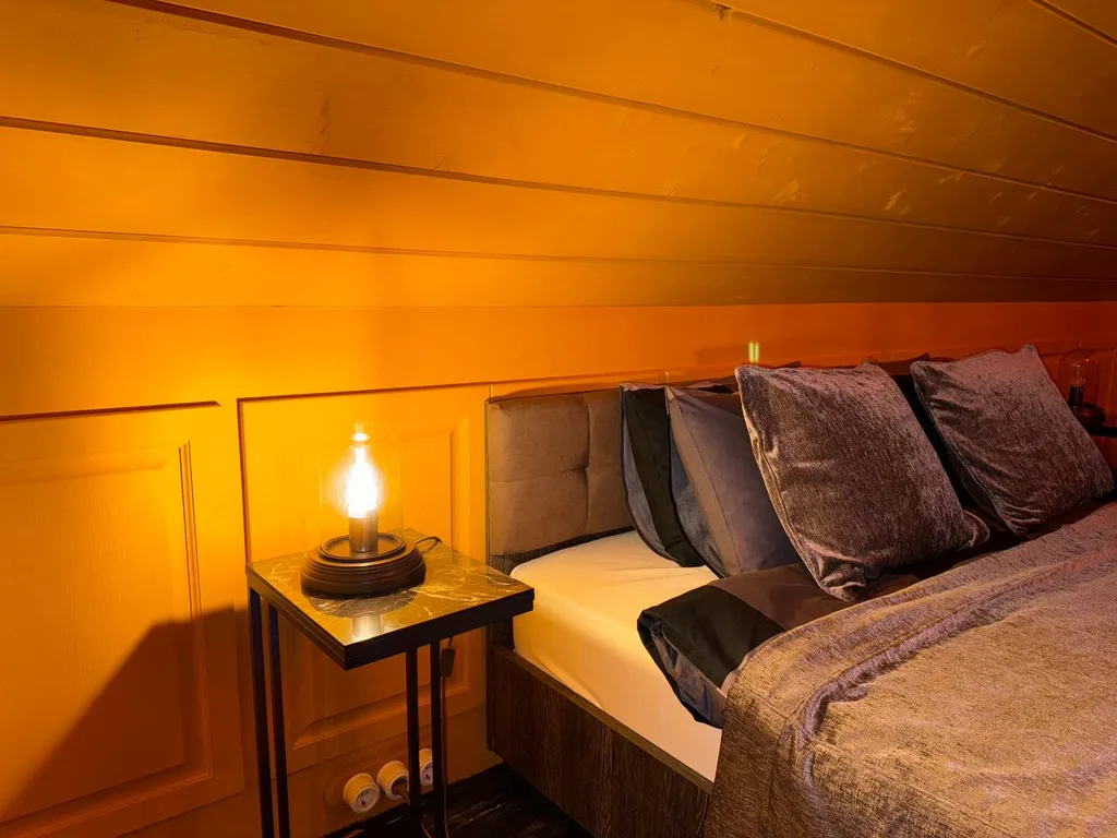 Scandi Арт-дом в сосновом бору