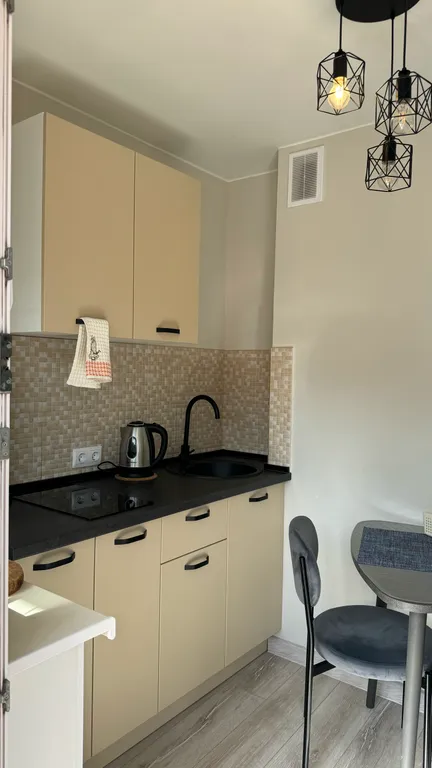 Стильная студия с видом на лес