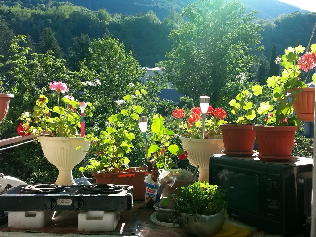 Квартира 1-комнатная Квартира — Гагра