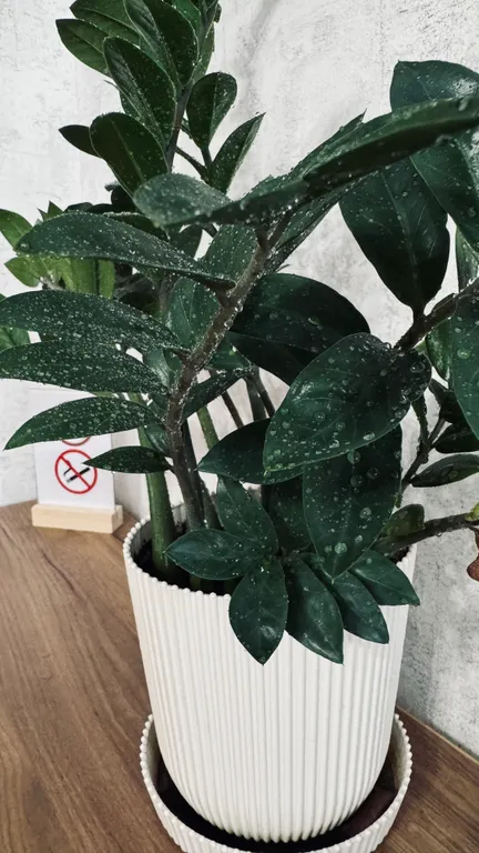 Апартамент с панорамным видом на Томь в центре города