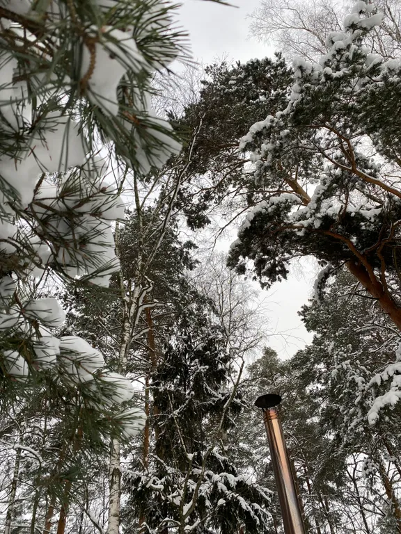 Новый Дом-Кабан