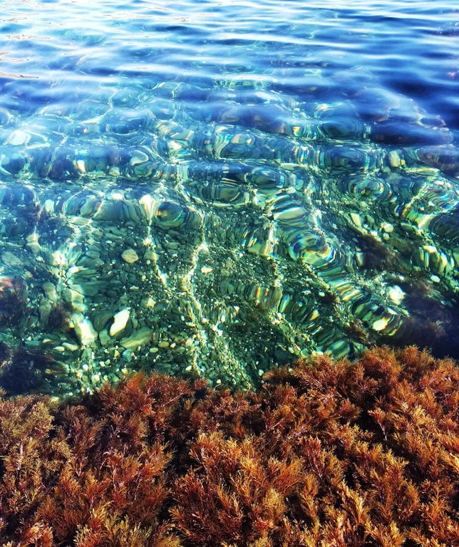 Коттедж Домик у грота Дианы — Севастополь