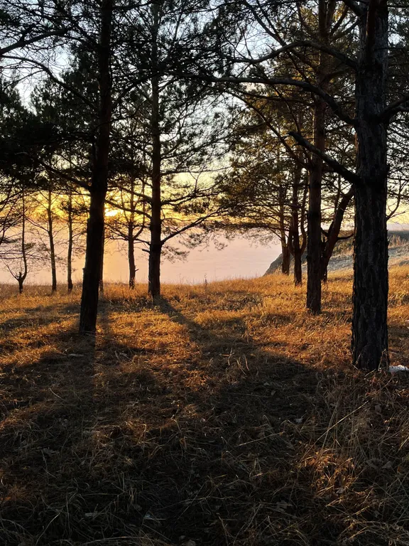 Cube House на берегу Волги