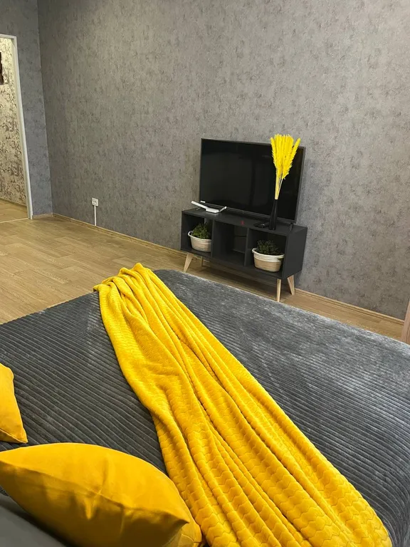 Уютная, комфортабельная квартира студия