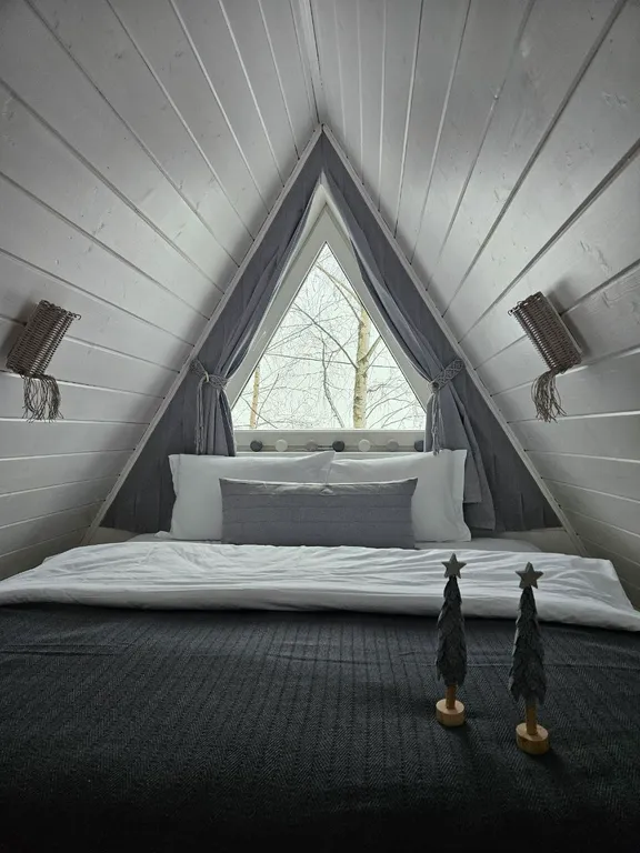 Красивые панорамные домики около леса