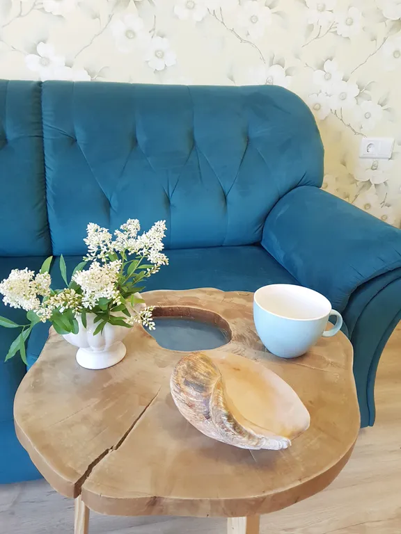 Уютная квартира с видом на лес в центре Светлогорска-2 — аренда посуточно в Светлогорск