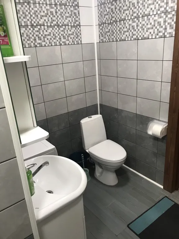 Большой дом у леса