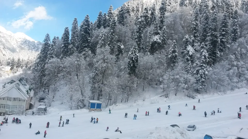 Квартира Комфортабельные апартаменты для незабываемого отдыха в горах — аренда посуточно в Домбай