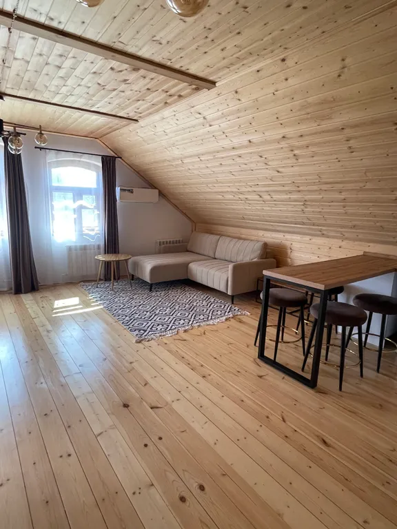 Просторные апартаменты с видом на  Спасо-Евфимиев монастырь