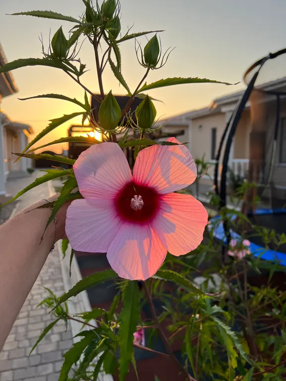 Коттедж Дом у моря №5 — Витино