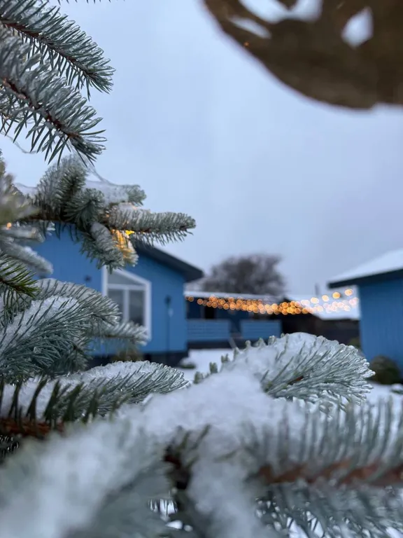 Квартира Комната — аренда посуточно в Пушкинские Горы