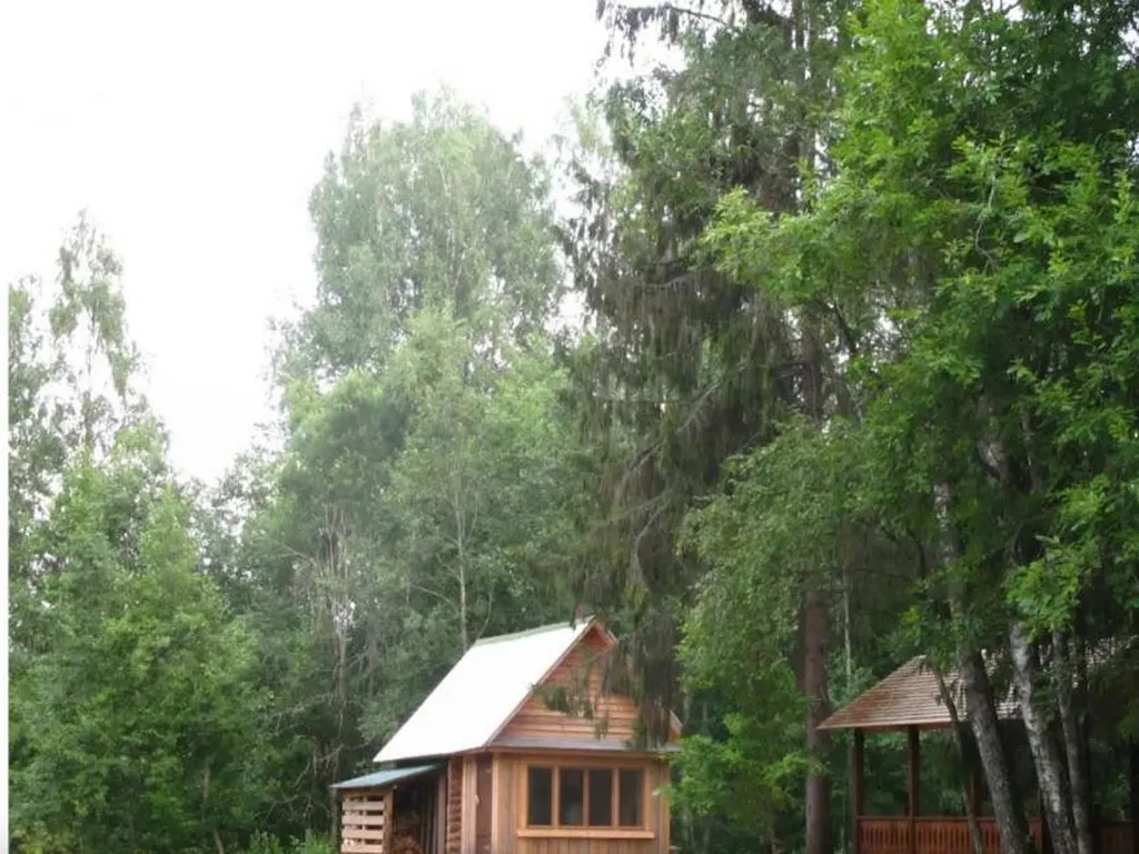 Заимка Остров: уютный домик для отдыха и рыбалки