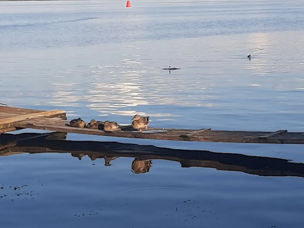Осташков исторический Дом у озера