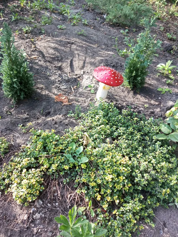 Уютная дача посуточно для семейного отдыха, ночлега