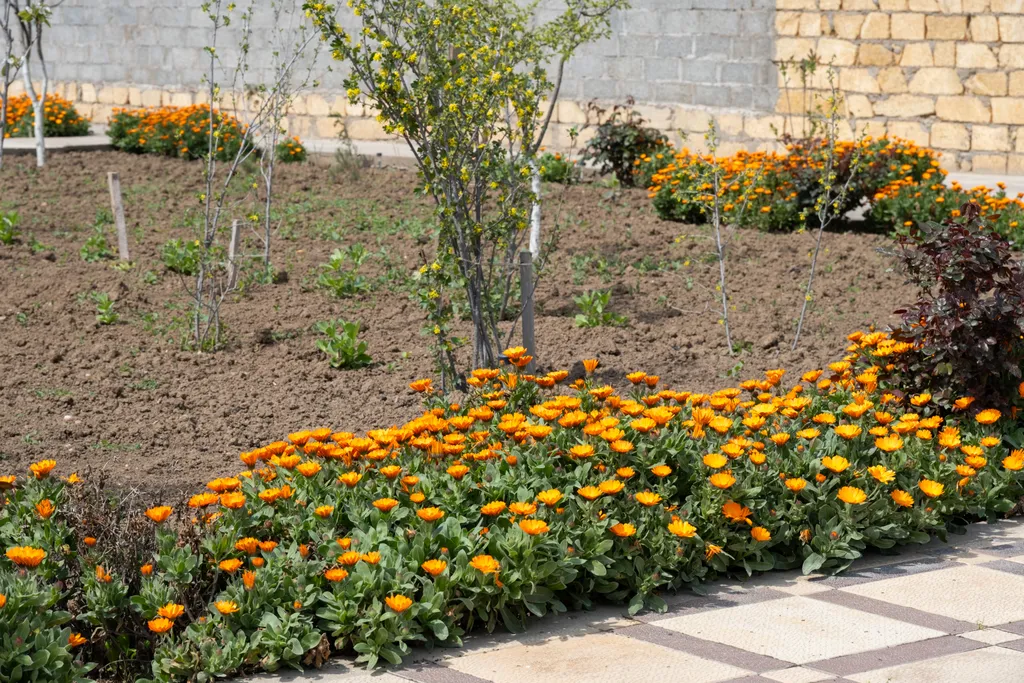 Коттедж Уютные коттеджи рядом с морем — Дербент