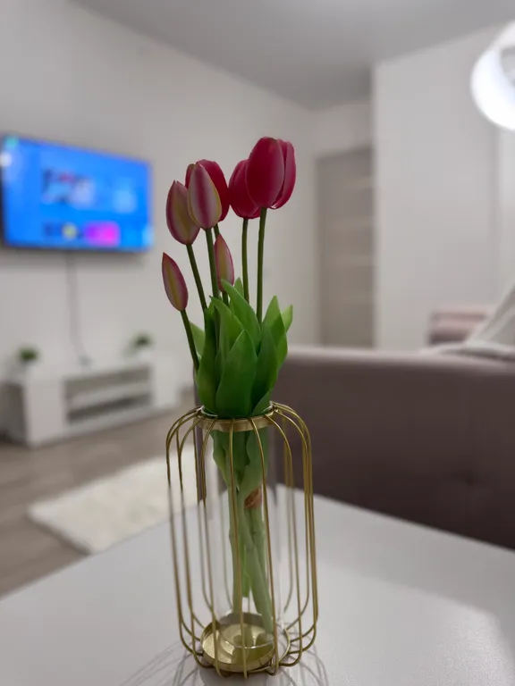 Квартира Двухкомнатная квартира рядом с Мамаевым Курганом — Волгоград