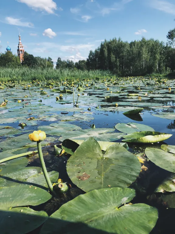 Уютный дом для семейного отдыха