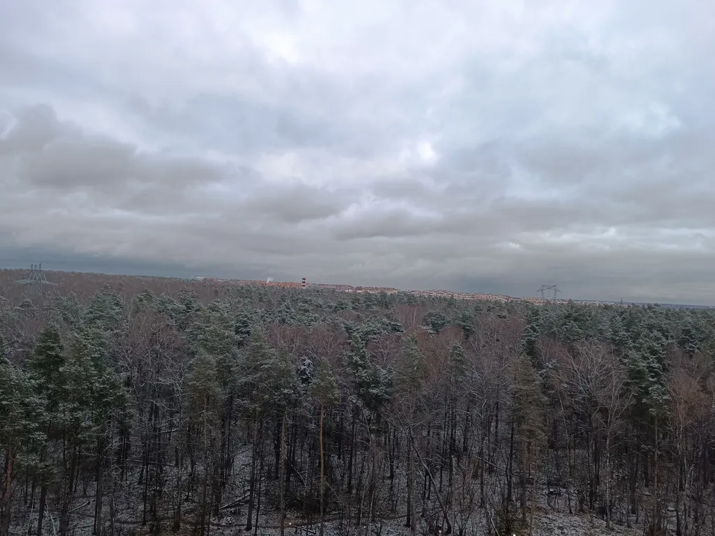 Уютная студия с видом на лес