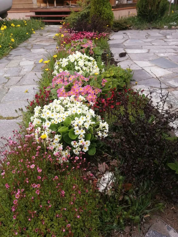 Дом у Финского залива