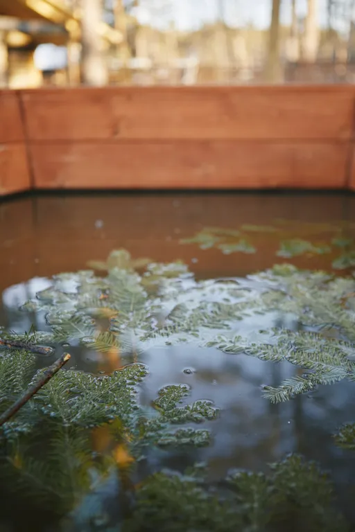 Уединенный дом в стиле A-frame